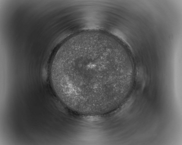 X0000089830874200707191824