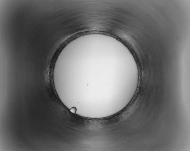 X0000089830875200707191824