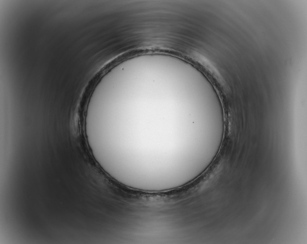 X0000089830876200707191824