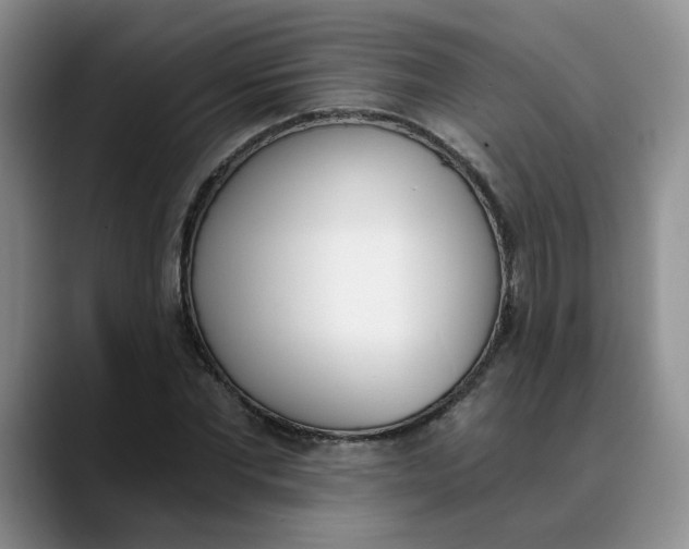 X0000089830877200707191824