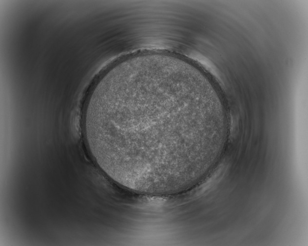 X0000089830878200707191824