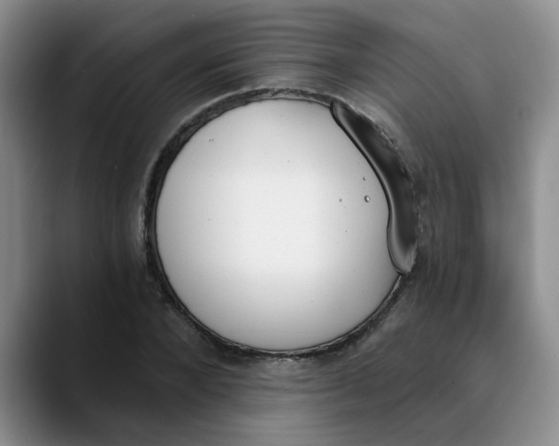 X0000089830880200707191824