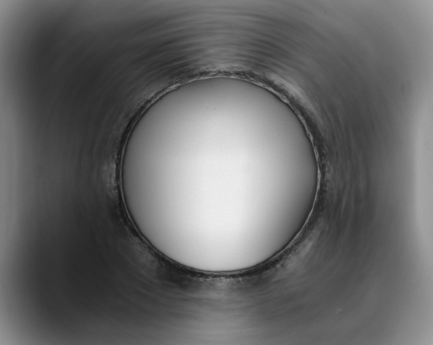 X0000089830881200707191824