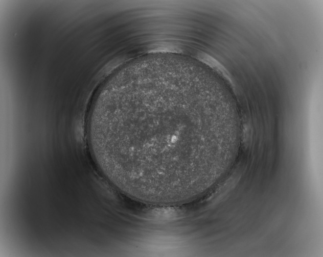 X0000089830882200707191824