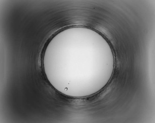 X0000089830883200707191824