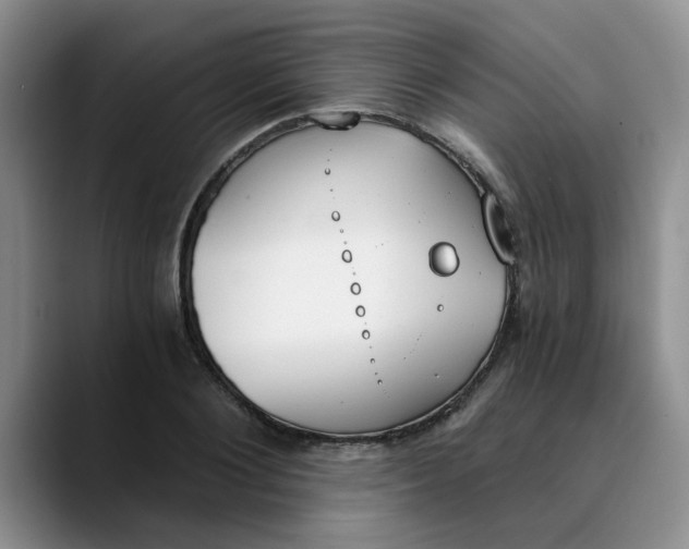 X0000089830884200707191824