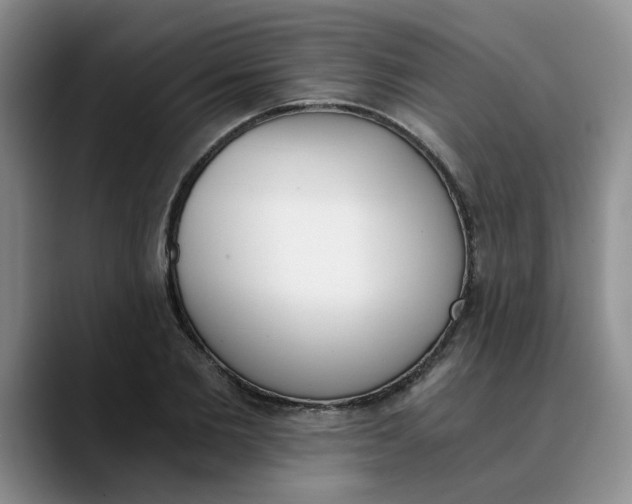 X0000089830885200707191824