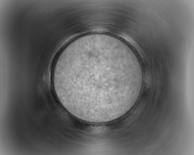 X0000089830886200707191824