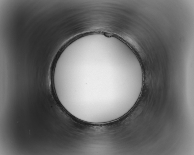 X0000089830888200707191824