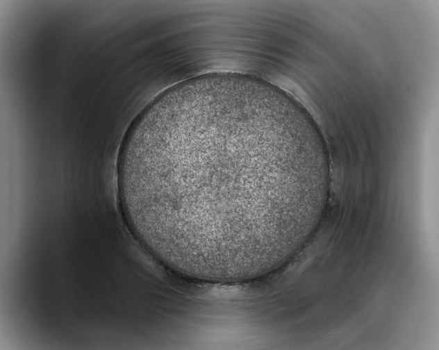 X0000089830890200707191824