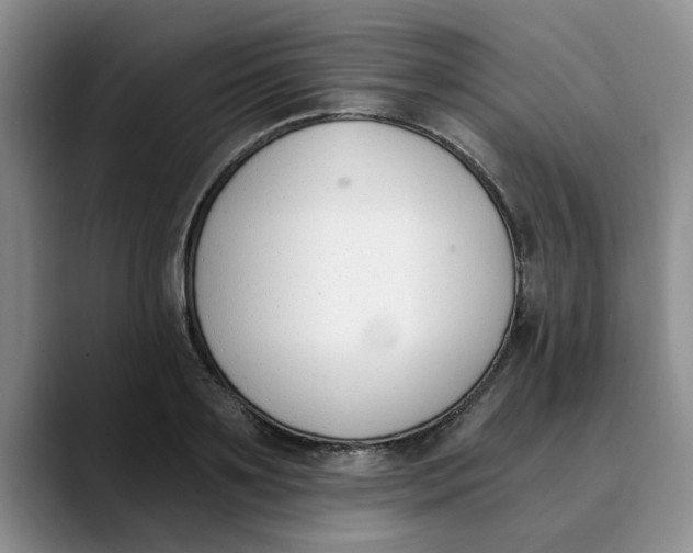 X0000089830891200707191824