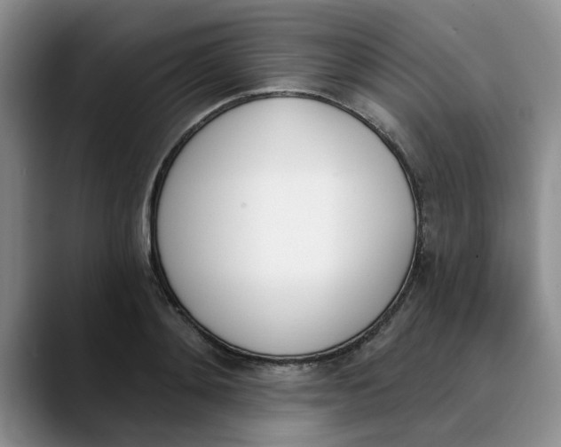 X0000089830892200707191824