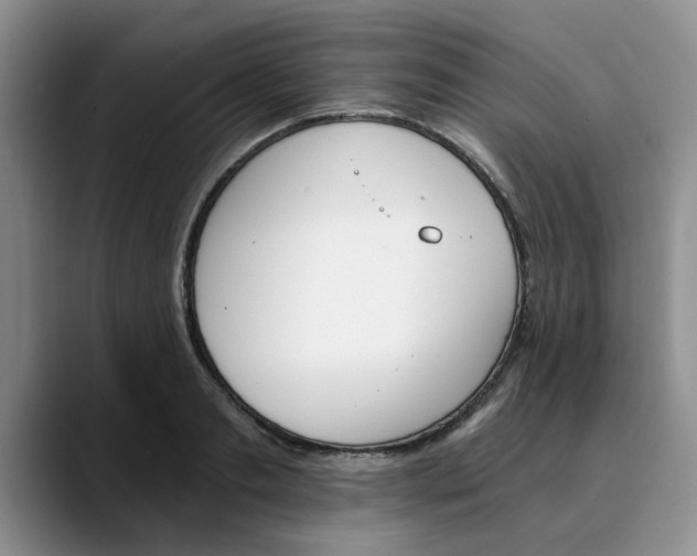 X0000089830893200707191824