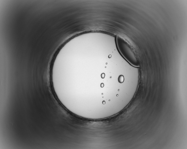 X0000089830894200707191824