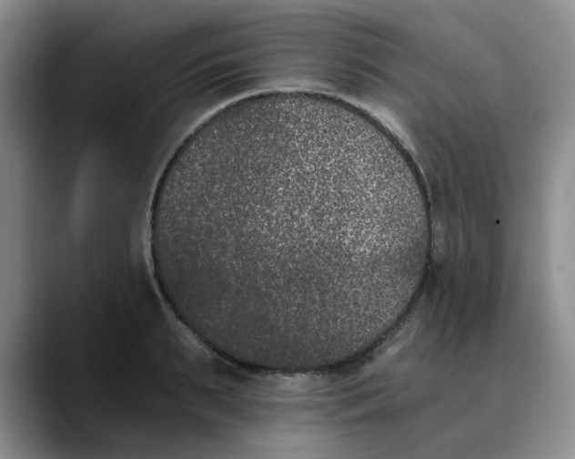 X0000089830895200707191824