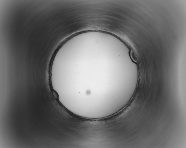 X0000089830896200707191824