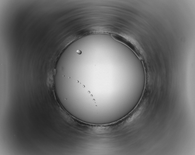 X0000089830897200707191824