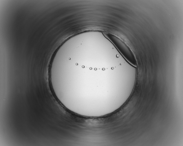 X0000089830898200707191824