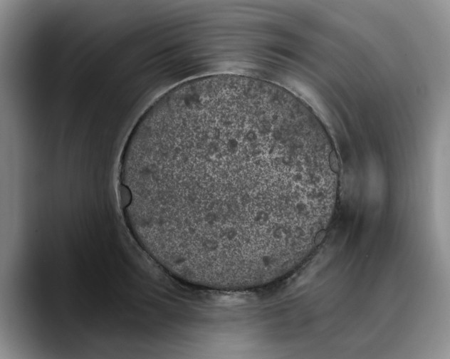 X0000089830899200707191824