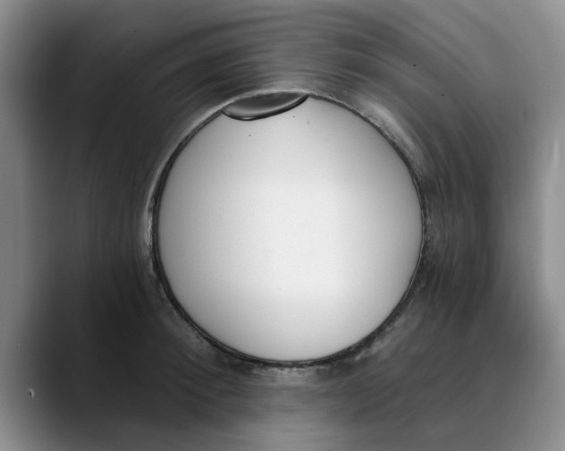 X0000089830900200707191824