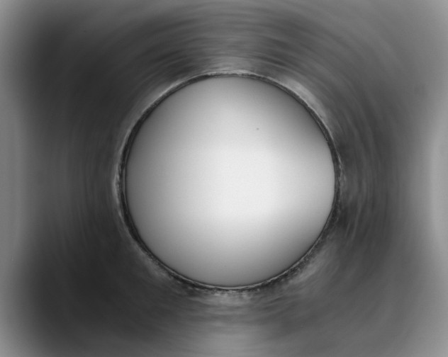 X0000089830901200707191824