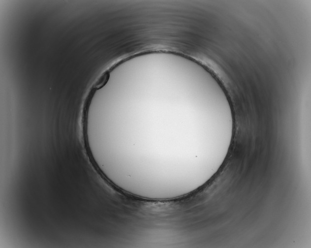 X0000089830902200707191824