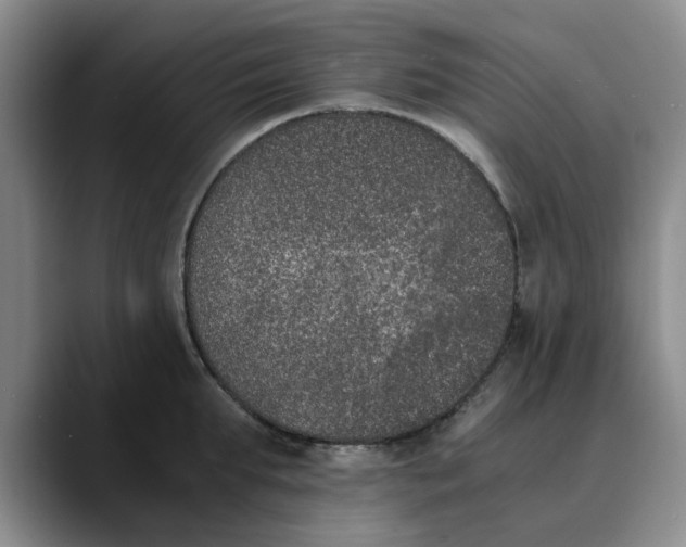 X0000089830903200707191824