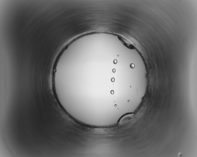 X0000089830904200707191824