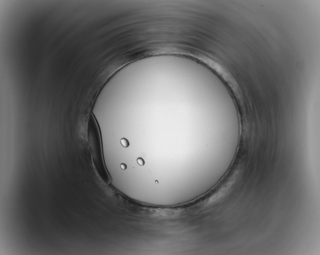 X0000089830905200707191824