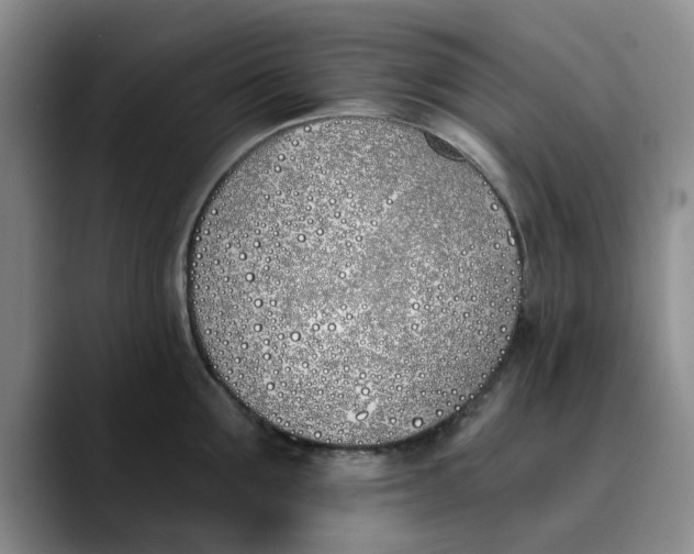 X0000089830907200707191824