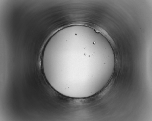 X0000089830908200707191824