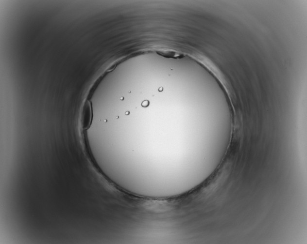 X0000089830909200707191824