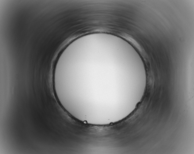 X0000089830910200707191824