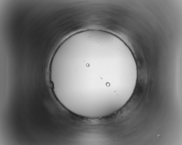 X0000089830911200707191824