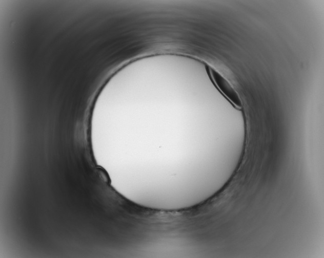 X0000089830912200707191824