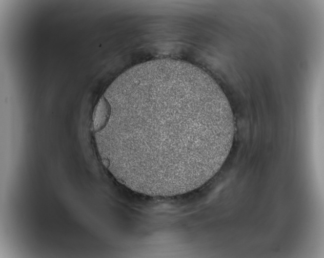 X0000089830913200707191823