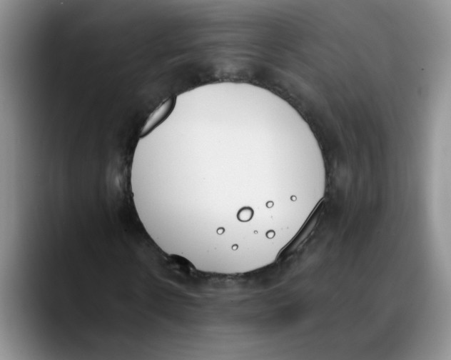 X0000089830914200707191823