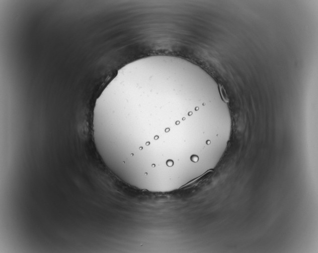 X0000089830916200707191823