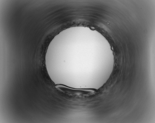 X0000089830919200707191823