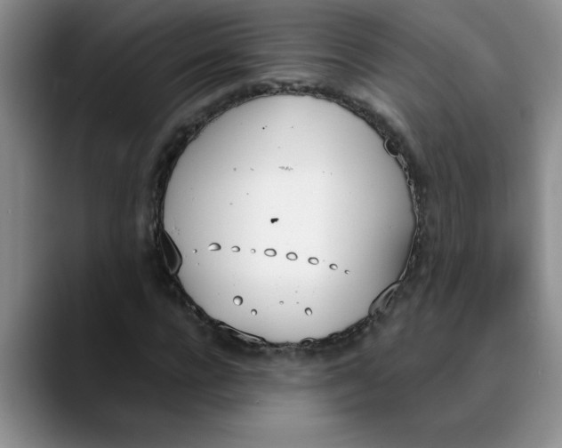 X0000089830920200707191823