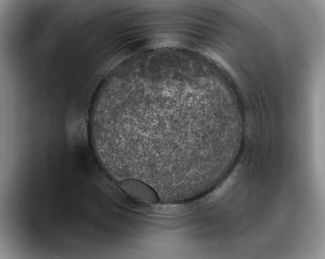 X0000089830921200707191823