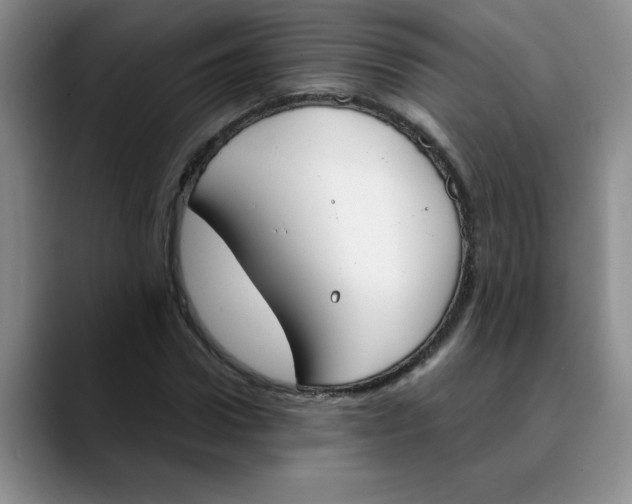 X0000089830922200707191823