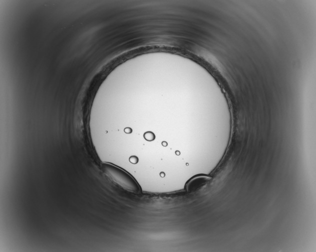 X0000089830923200707191823