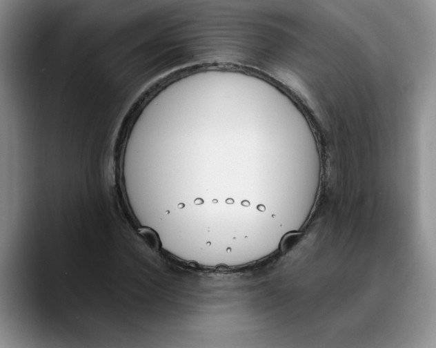 X0000089830924200707191823