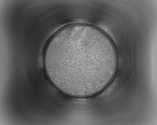 X0000089830925200707191823