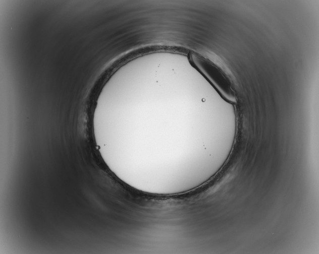 X0000089830926200707191823