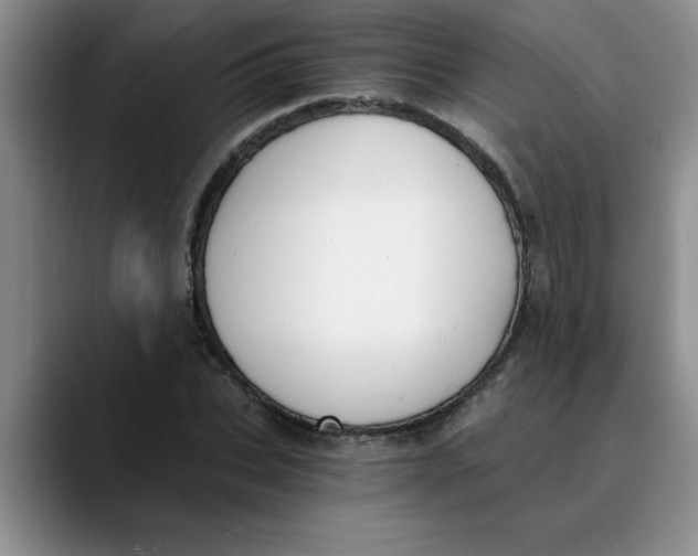 X0000089830927200707191823