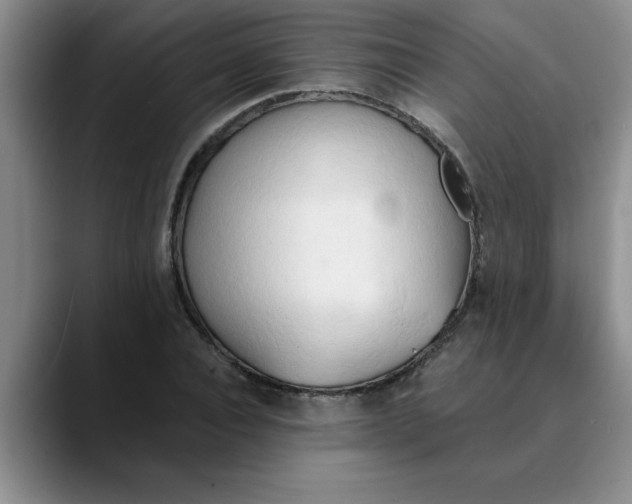 X0000089830928200707191823