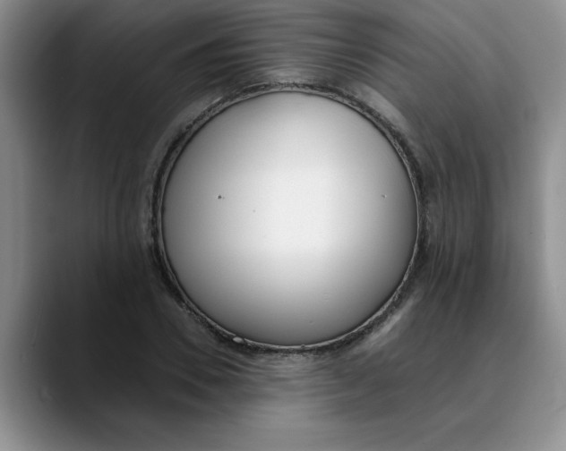 X0000089830930200707191823