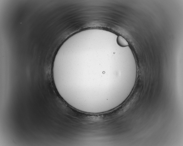 X0000089830937200707191823